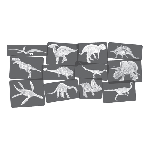 Roylco Discover Dinosaurs Picture Cards & X-rays - Skill Learning: Exploration, Concentration, Creativity - 24 Pieces - 4+