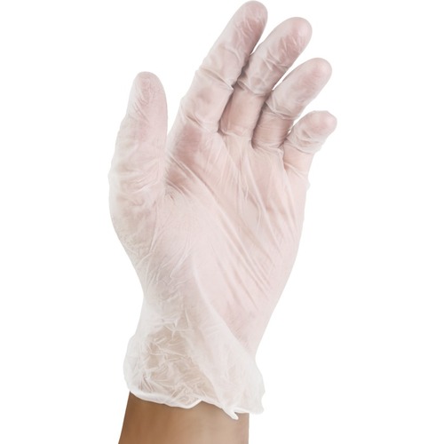 Stevens Powder-Free Synthetic Exam Gloves - Large Size - For Right/Left Hand - Synthetic, Vinyl - Powder-free, Non-sterile, Latex-free - 100 / Box