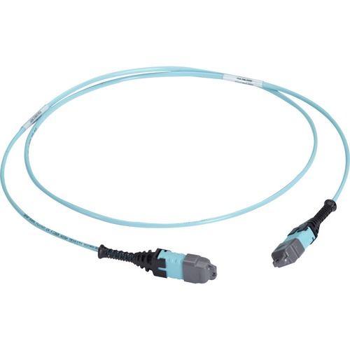 Black Box MTP OM3 Fiber Optic Trunk Cable - Plenum, 12-Strand, Type C - 164.04 ft Fiber Optic Network Cable for Network Device, Fiber Optic Cassette - First End: 1 x MTP/MPO Type C Network - Second End: 1 x MTP/MPO Type C Network - Trunk Cable - OFNP, Ple
