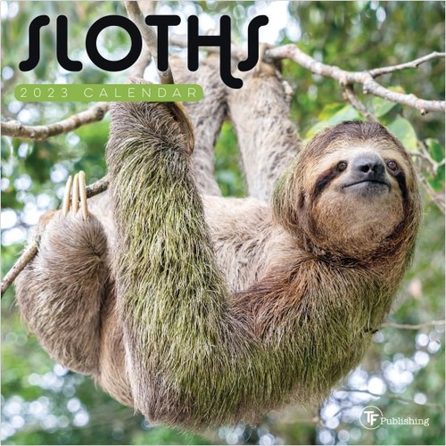 TF Publishing Animal Mini Wall Calendar, 7" x 7", Sloths, January To December 2023 - Small Size - Monthly - 12 Month - January 2023 - December 2024 - 1 Month Single Page Layout - 7" x 7" White Sheet - Stapled - White - Paper - Four Month Referen