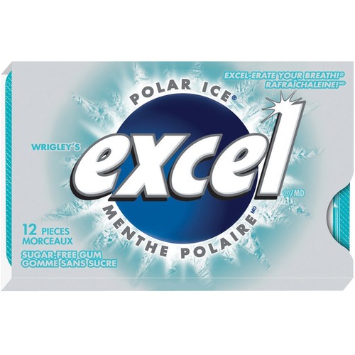 Excel Polar Ice Chewing Gum - Polar Ice - 12 / Box - Candy & Gum - VND08WR133POL
