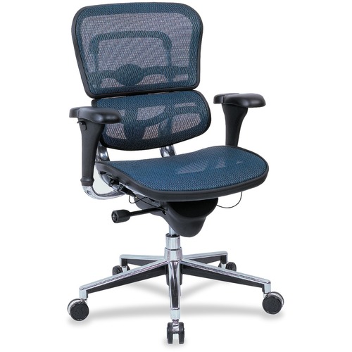 Raynor® Ergohuman Mid-Back Ergonomic Mesh Chair, Blue/Chrome - Blue Seat Color - Fabric Seat Material - 1 Each