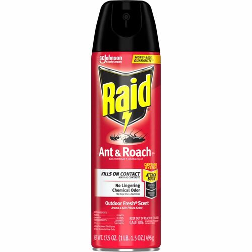 Raid Ant & Roach Killer Spray - Spray - Kills Cockroaches, Ants, Silverfish, Water Bugs, Palmetto Bug, Carpet Beetle, Earwig, Spider, Lady Beetle, Black Widow Spider, Crickets, ... - 1.09 lb - Clear - 1 Each