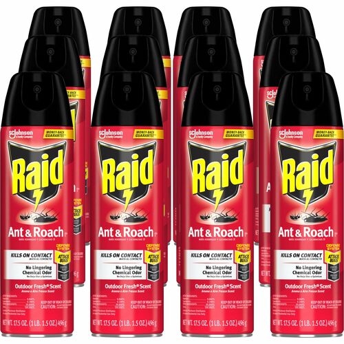 Raid Ant & Roach Killer Spray - Spray - Kills Cockroaches, Ants, Silverfish, Water Bugs, Palmetto Bug, Carpet Beetle, Earwig, Spider, Lady Beetle, Black Widow Spider, Crickets, ... - 1.09 lb - Clear - 12 / Carton