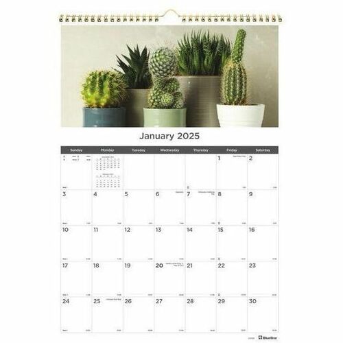 Blueline Calendar - Monthly - 12 Month - January 2025 - December 2025 - 1 Month Single Page Layout - 17" x 12" White Sheet - Wire Bound - Wall MountChipboard - International Holiday, Reference Calendar, Eyelet, Daily Block, Writable Surface - 1