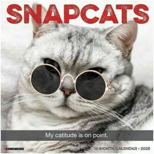 2025 Willow Creek Press Animals Monthly Wall Calendar, 12" x 12" , Snapcats, January To December, 44964 - Medium - Regular - Monthly - January 2025 to December 2025 - 12" x 12" Sheet Size - White Sheet - Stapled - Wall Mount - 12" Height x 12" Width - Int