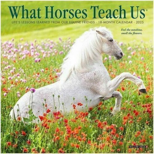 2025 Willow Creek Press Mini Wall Calendar, 7" x 7" , What Horses Teach Us, January 2025 To December 2025, 46036 - Small - Regular - Monthly - January 2025 to December 2025 - 7" x 7" Sheet Size - White Sheet - Stapled - Wall Mount - 7" Height x 7" Width -