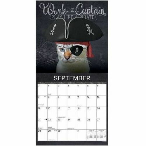 2025 Willow Creek Press Wall Calendar, 12" x 12" , Catspirations, January 2025 To December 2025, 42250 - Medium - Regular - Monthly - January 2025 to December 2025 - 12" x 12" Sheet Size - White Sheet - Stapled - Wall Mount - 12" Height x 12" Width - Inte