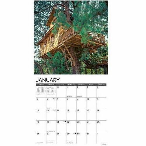 2025 Willow Creek Press Wall Calendar, 12" x 12" , Treehouses, January 2025 To December 2025, 46647 - Medium - Regular - Monthly - January 2025 to December 2025 - 12" x 12" Sheet Size - White Sheet - Stapled - Wall Mount - 12" Height x 12" Width - Interna