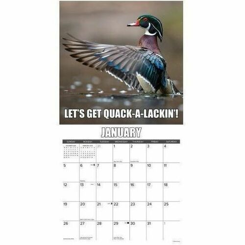 2025 Willow Creek Press Humor & Comics Monthly Wall Calendar, 12" x 12" , Wise Quacking, January To December, 46371 - Medium - Regular - Monthly - January 2025 to December - 12" x 12" Sheet Size - White Sheet - Stapled - Wall Mount - 12" Height x 12" Widt