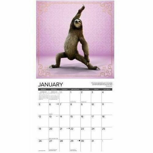 2025 Willow Creek Press Wall Calendar, 12