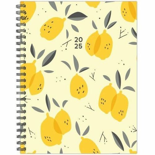 Willow Creek Press Softcover Weekly/Monthly Planner, 6-1/2" x 8-1/2" , Citrus Grove, January To December, 48672 - Medium - Regular - Weekly, Monthly - January 2025 to December - 6 1/2" x 8 1/2" Sheet Size - White Sheet - Ring Binding - Multicolor Paper Co