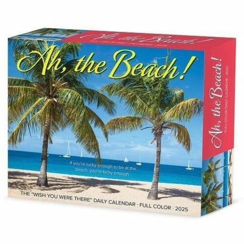 2025 Willow Creek Press Daily Desk Box Calendar, 5-1/2" x 6-1/4" , Ah, The Beach, January to December 2025, 40560 - Small - Regular - Daily - January 2025 to December 2025 - 5 1/2" x 6 1/4" Sheet Size - White Sheet - Desk - 6.3" Height x 5.5" Width - Inte