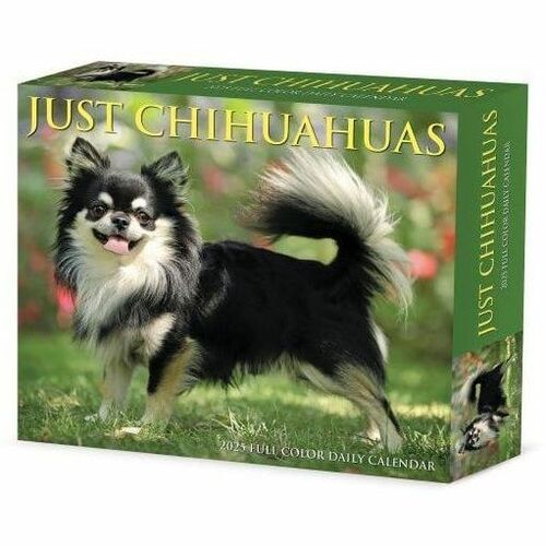 2025 Willow Creek Press Daily Box Calendar, 5-1/2" x 6-1/4" , Chihuahuas, January To December, 40737 - Small - Regular - Daily - January 2025 to December - 5 1/2" x 6 1/4" Sheet Size - White Sheet - Desk - 6.3" Height x 5.5" Width - International Holiday,