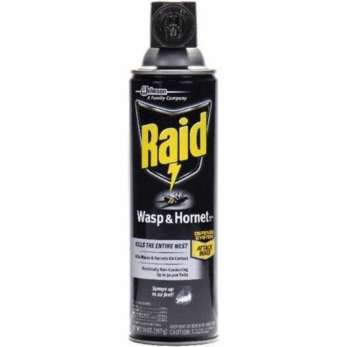 Raid Wasp and Hornet Killer 33 - Spray - Kills Wasp, Hornet, Mud Dauber ...