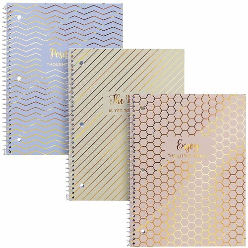 Cahier Haze Pukka Pads