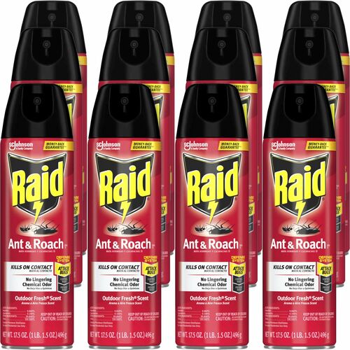 Raid Ant & Roach Killer Spray - Spray - Kills Ants, Cockroaches, Water Bugs, Palmetto Bug, Silverfish, Carpet Beetle, Earwig, Spider, Lady Beetle, Black Widow Spider, Crickets, ... - 17.50 fl oz - Clear - 12 / Carton