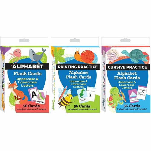 Shell Education Learning Card - Skill Learning: Literacy Skills - 3 Box