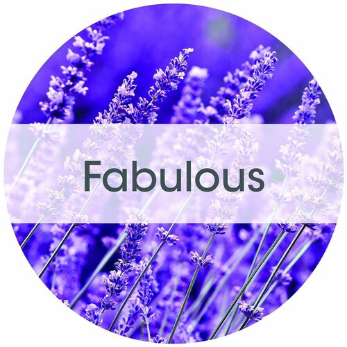 Fresh Products Tidal Wave Urinal Screens - Lasts upto 60 Days - Splash Reducer - 6 / Carton - Purple