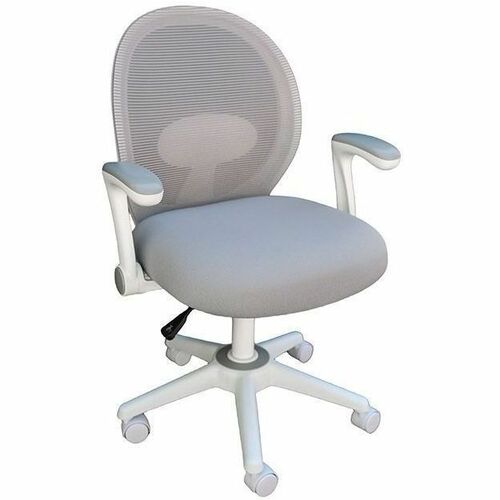 Boss Grey Mesh, Flip Arm, Task Chair, White Frame - Gray Seat Color - Foam, Fabric Seat Material - Gray Back Color - Mesh Back Material - White Frame Color - 5-star Base - Gray - Mesh, Fabric - Armrest - 1 Each