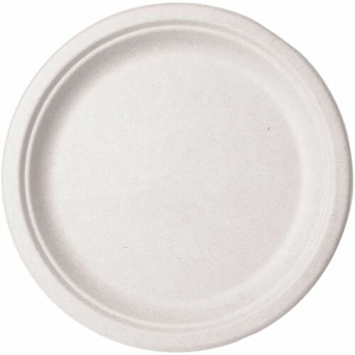 Vegware Sugarcane Plates - Food - 10" Diameter - Natural - Sugarcane, Molded Fiber Body - 500 / Carton