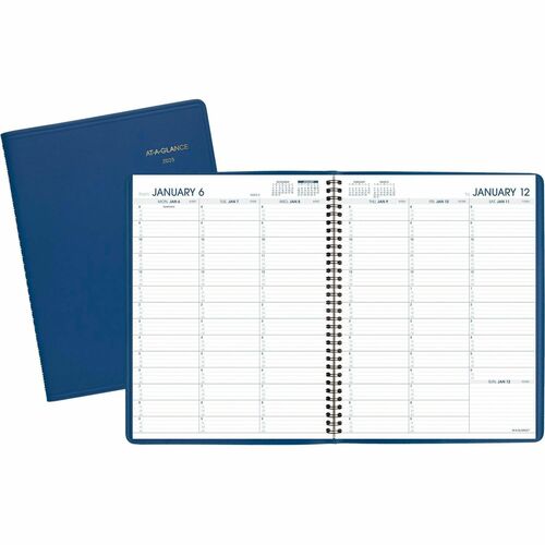 At-A-Glance Fashion Appointment Book Planner - Large Size - Julian Dates - Weekly - 1 Year - January 2025 - December 2025 - 8:00 AM to 9:45 PM - Quarter-hourly, 8:00 AM to 5:45 PM - Quarter-hourly - 1 Week Double Page Layout - 8 1/4" x 11" White Sheet - W