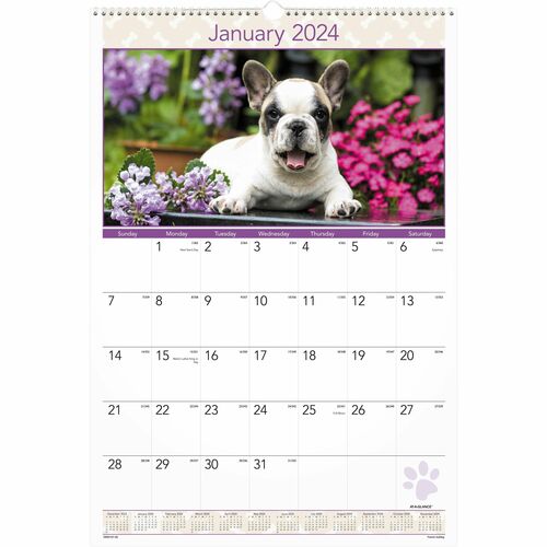 At-A-Glance Puppies Wall Calendar - Large Size - Julian Dates - Monthly, Yearly - 12 Month - January 2024 - December 2024 - 1 Month Single Page Layout - 15 1/2" x 22 3/4" White Sheet - 2" x 2.13" Block - Wire Bound - White - Chipboard, Paper - Hanging Loo