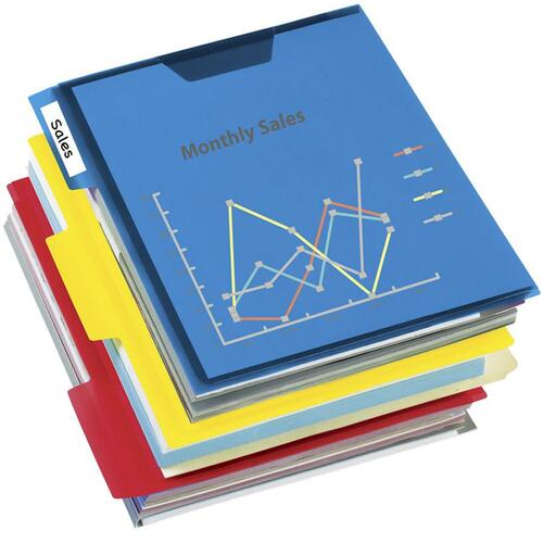 Esselte 1/3 Tab Cut Letter Top Tab File Folder