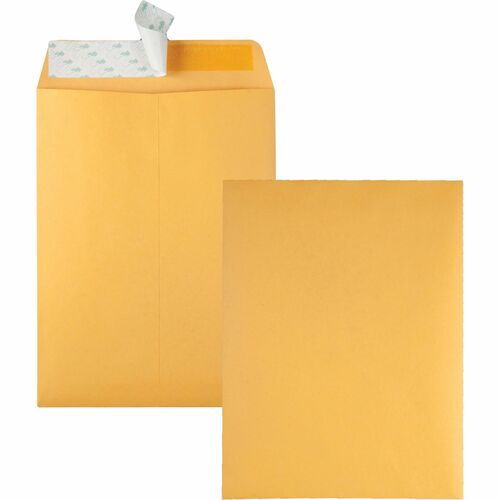 Quality Park 9 x 12 Catalog Envelopes with Redi-Strip® Closure - Catalog - #10 1/2 - 9" Width x 12" Length - 28 lb - Self-sealing - Kraft - 100 / Box - Kraft