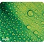 Allsop Naturesmart Mouse Pad, Leaf Raindrop, 8 1/2 x 8 x 1/10 Thumbnail 1