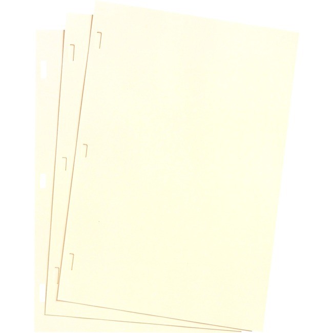 Wilson Jones® Ivory Ledger Paper, 8 1/2