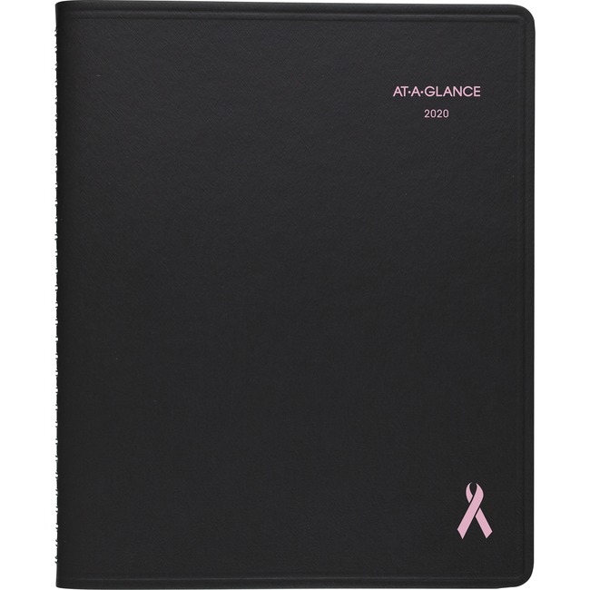 At-A-Glance Quicknotes Special Edition Monthly Planner