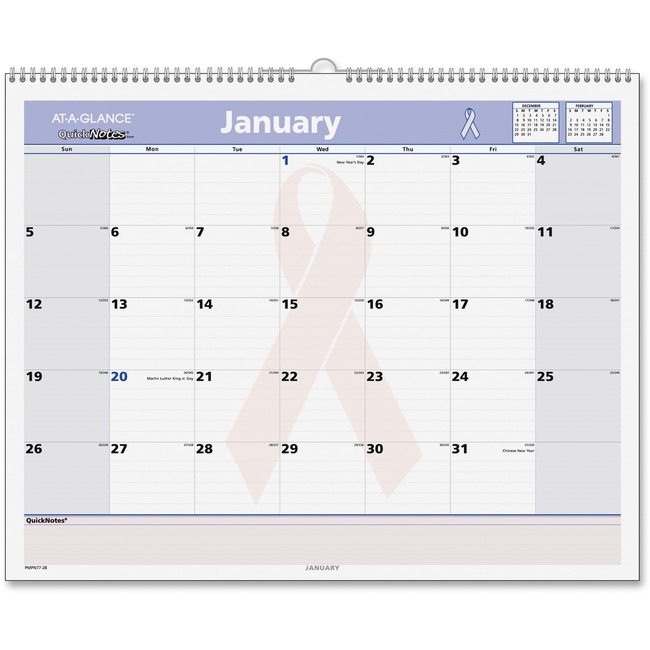 At-A-Glance QuickNotes Special Edition Monthly Wall Calendar