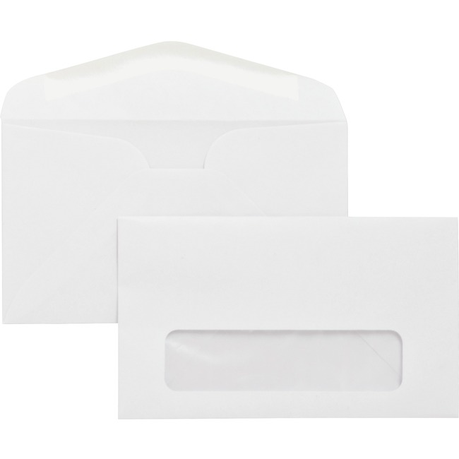 Business Source No. 6-3/4 Business Envelopes