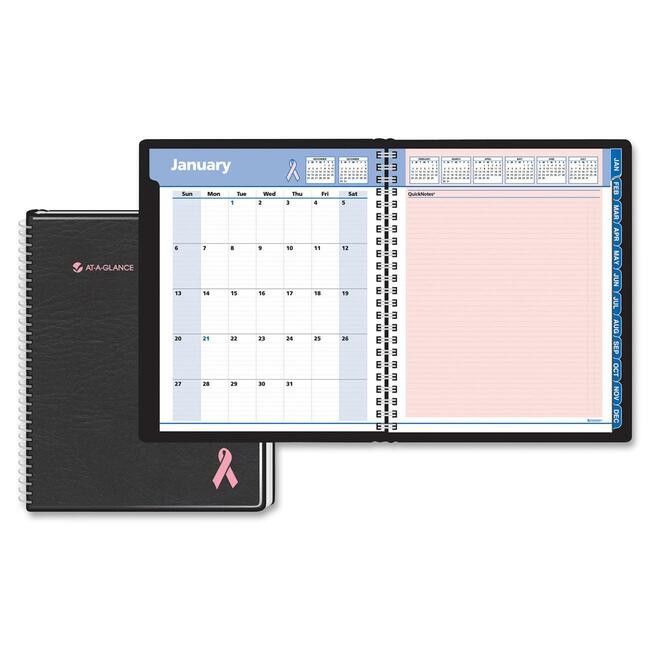 At-A-Glance QuickNotes Breast Cancer Awareness Appointment Book