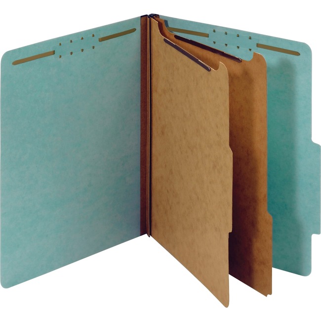 Pendaflex 2-divider Recycled Classification Folders