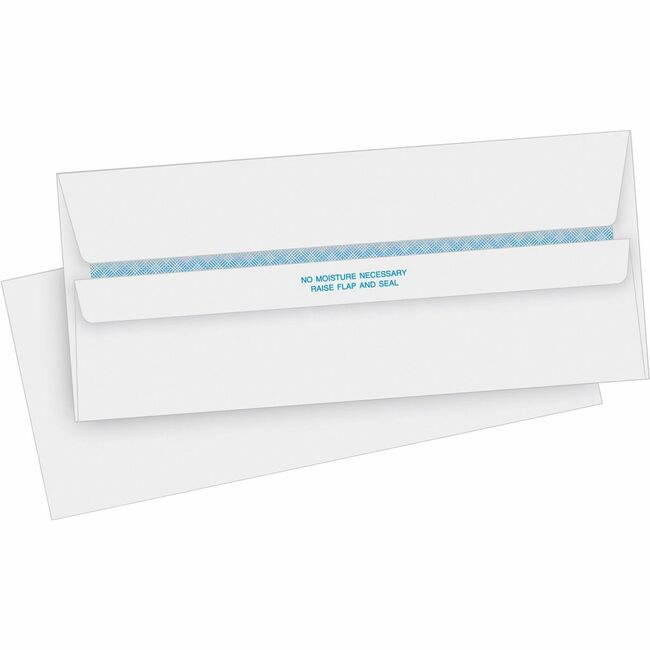 Business Source Regular Security Invoice Envelopes