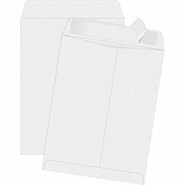 Quality Park Redi-Strip Catalog Envelopes