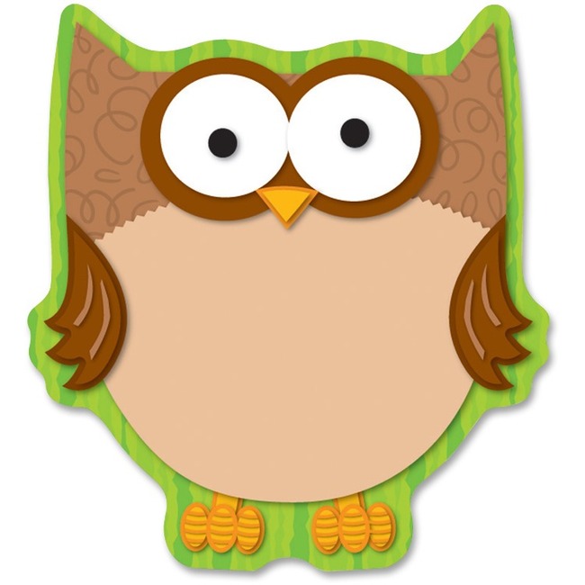 Carson-Dellosa Full-color Owl Notepads