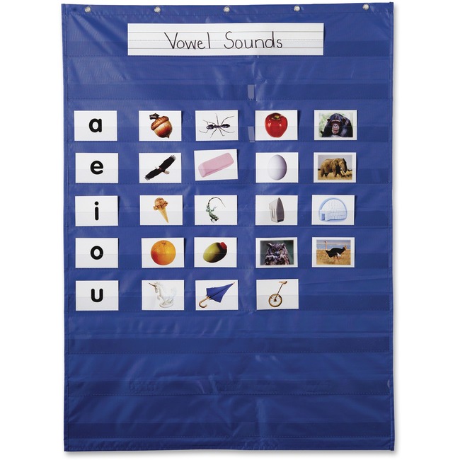 Carson-Dellosa Grade PreK-8 Essential Pocket Chart