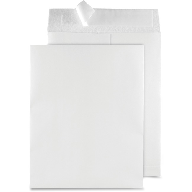 Quality Park Snowpack Envelopes