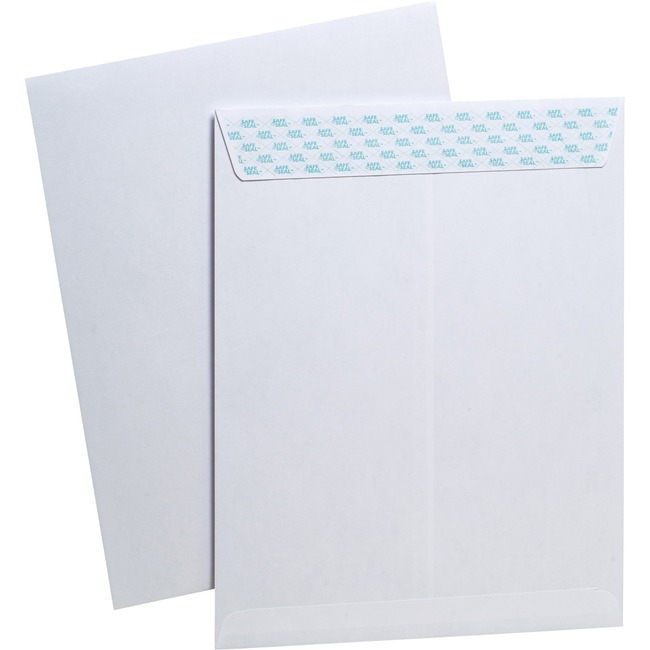 Ampad SafeSeal Heavyweight Security Envelopes