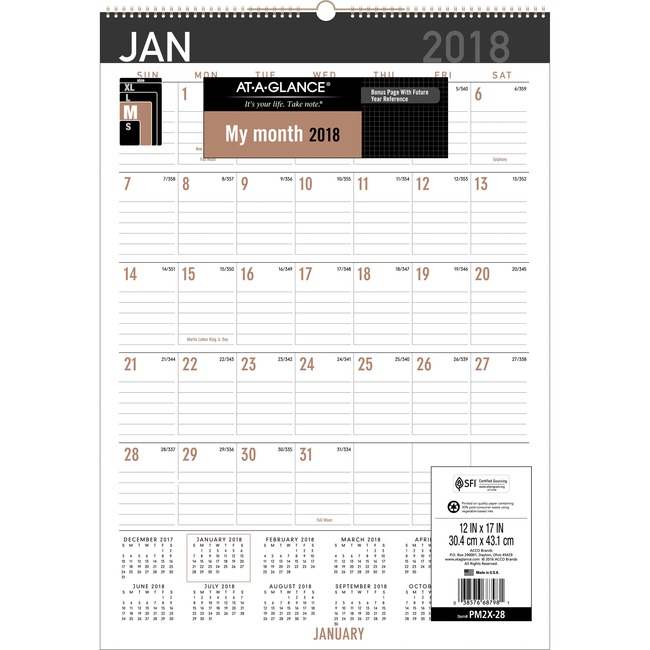 At-A-Glance Contemporary Monthly Wall Calendar