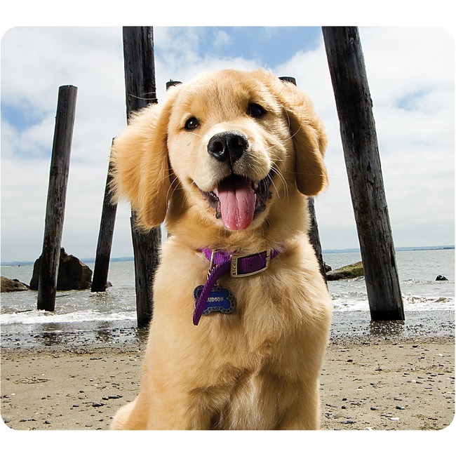 Fellowes Recycled Mouse Pad - Puppy at Beach