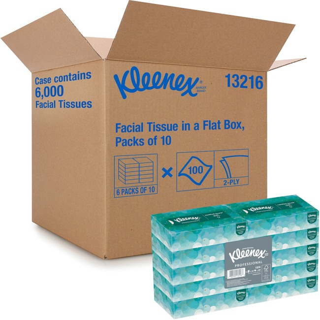 Kleenex Facial Tissue Conven Case