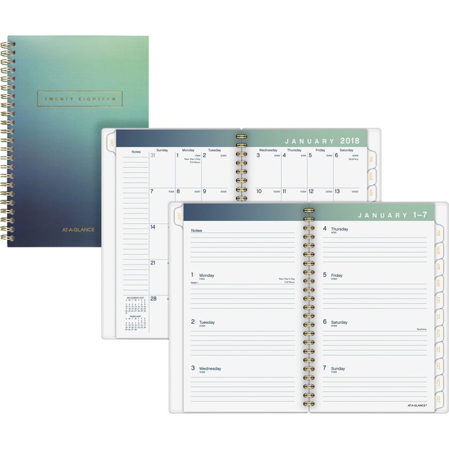 At-A-Glance Aurora Wkly/Mthly Planner