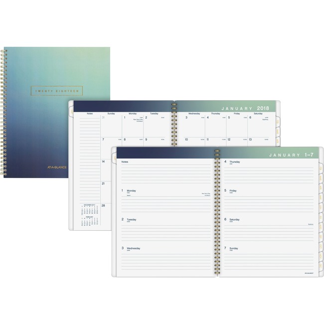 At-A-Glance Aurora Wkly/Mthly Planner