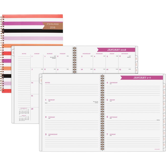 At-A-Glance Parasol Wkly/Mthly Planner