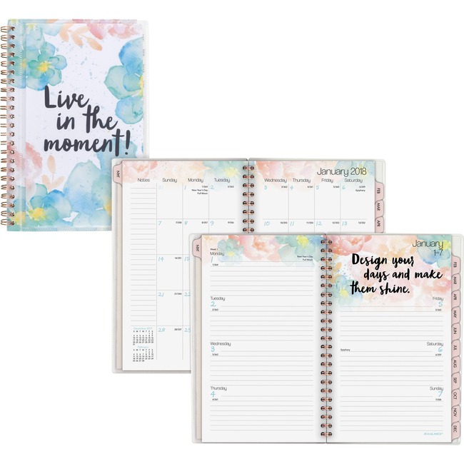 At-A-Glance B-Positive Small Wkly/Mthly Planner