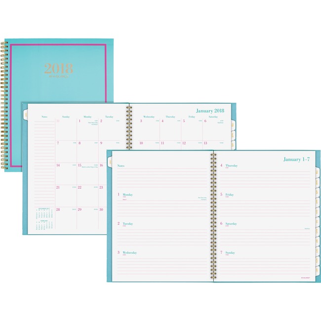 At-A-Glance Color Crush Wkly/Mthly Appmt Planner
